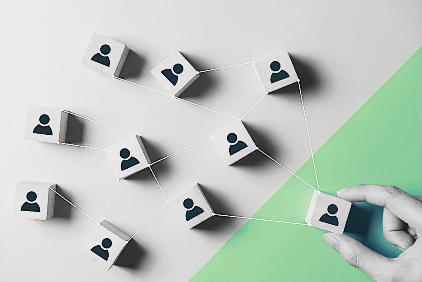 Modernes Workplace Learning: Das Corporate Learning Ecosystem als integraler Produktivitätsfaktor 